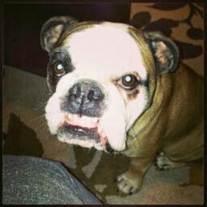 Meet your Posher, Alice